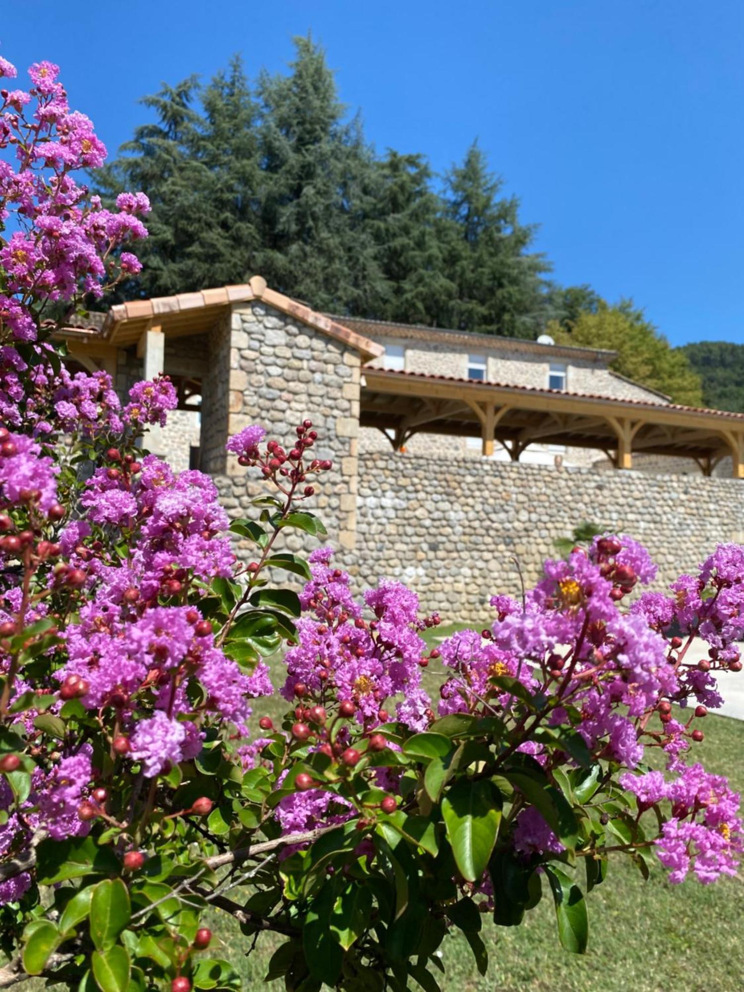 Domaine Les Buis Bed and Breakfast Saint-Fortunat-sur-Eyrieux Exteriör bild